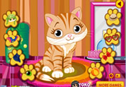 Cat Pet Salon